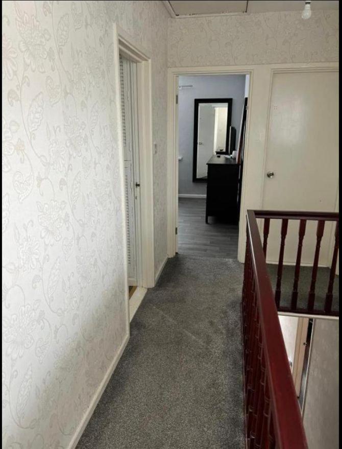 Macs Belfast Single Bedroom Zewnętrze zdjęcie